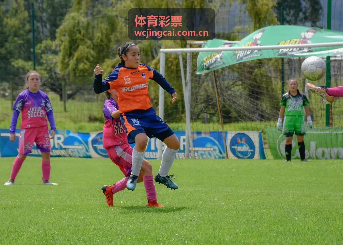 体育彩票篮球赛事现场画面