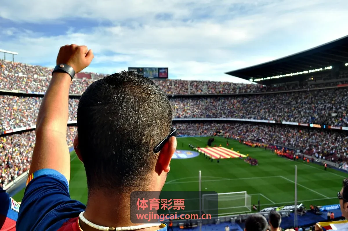 体育彩票公益体彩支持全民健身场景
